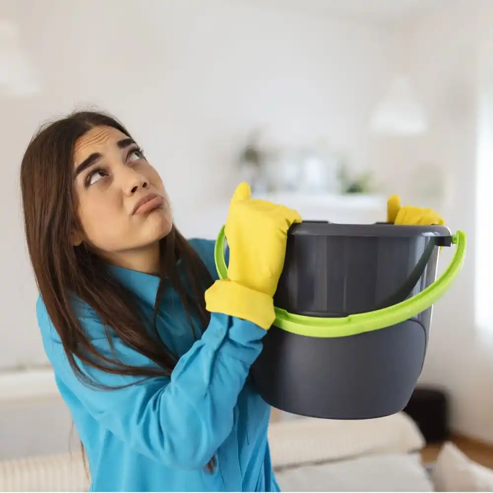 water damage restoration service Curtice
